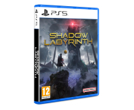 PlayStation Shadow Labyrinth - 1328166 - zdjęcie 2